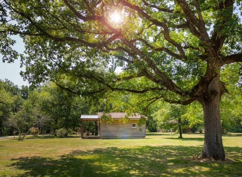 Chalet 2 Chbres N°2 Clim-Lv-Ménage Compris (Hors Cuisine)