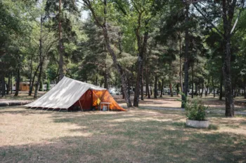 Emplacement - Evasion Sous-Bois - Camping Solaire du Petit Buech