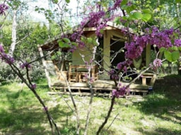 Huuraccommodatie(s) - Freeflower Premium 38M² (2 Slaapkamers) Met Badkamer - Flower Camping les Gorges de l'Aveyron