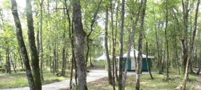 Canvas Bungalow - 25 m² - 2 bedrooms