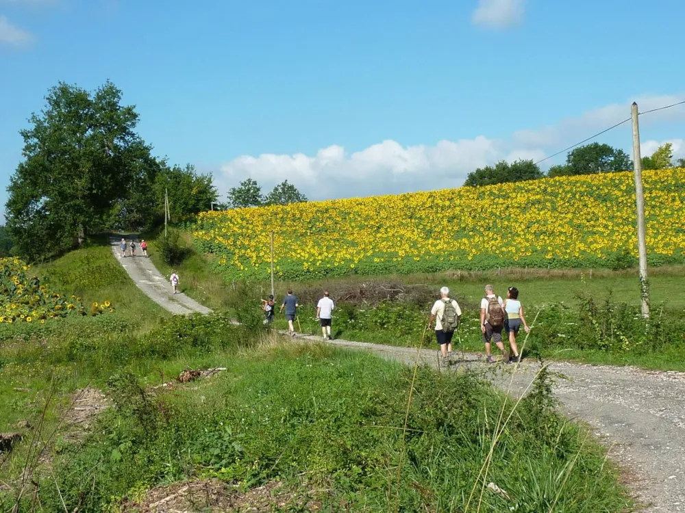 Camping Naturiste Les Manoques - image n°13 - UniversalBooking