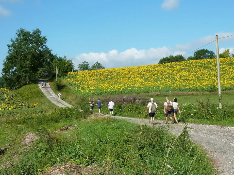 Camping Naturiste Les Manoques
