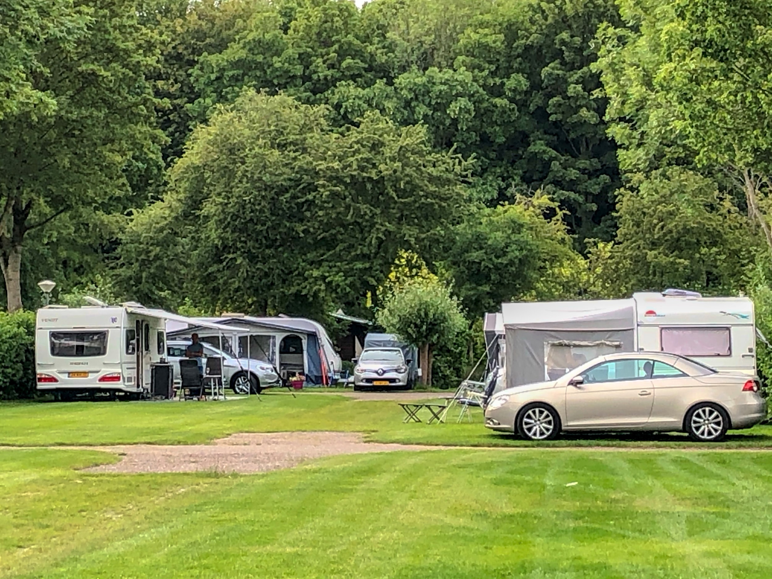 Delftse Hout — Foto 6