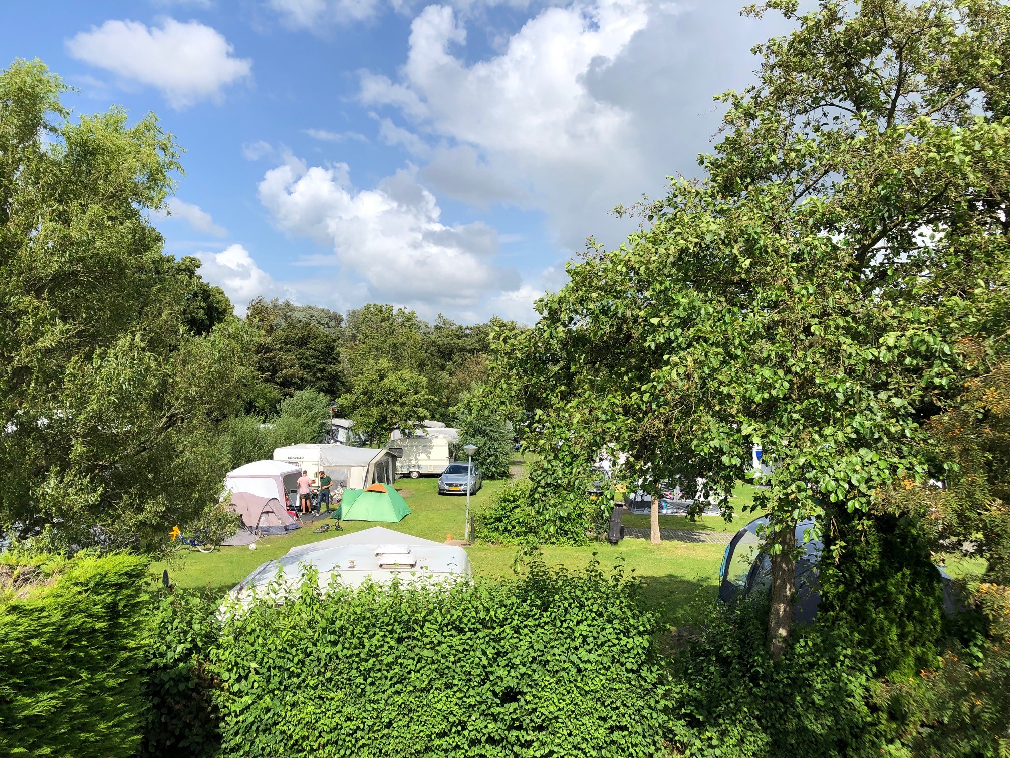 Emplacement - Emplacement - Camping Delftse Hout