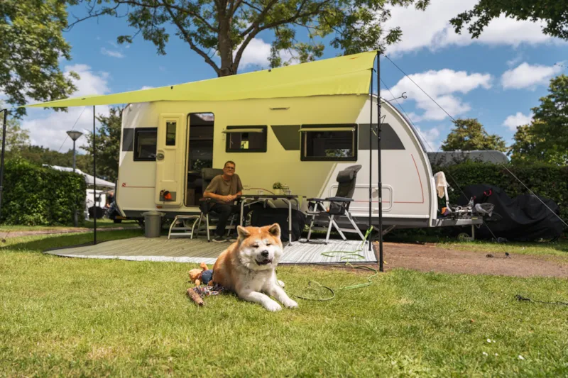 Emplacement Pour Caravane, Tente Ou Tente-Roulotte