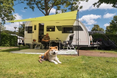 Pitch for caravan, tent or trailer tent — 2