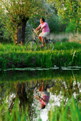 Foto #59 van Delftse Hout