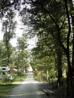 Camping La Vallée de Gardeleau - image n°36 - UniversalBooking