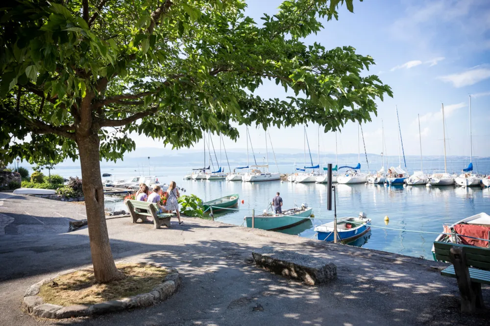 Camping La Pinède - Excenevex - image n°22 - Savoie