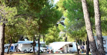 Stellplatz - Stellplatz ** Rezeptionsseite - YELLOH! VILLAGE - Camping Plage du Dramont