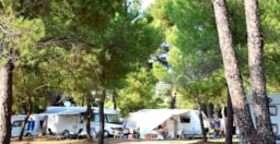 Emplacement - Emplacement ** Côté Réception - YELLOH! VILLAGE - Camping Plage du Dramont