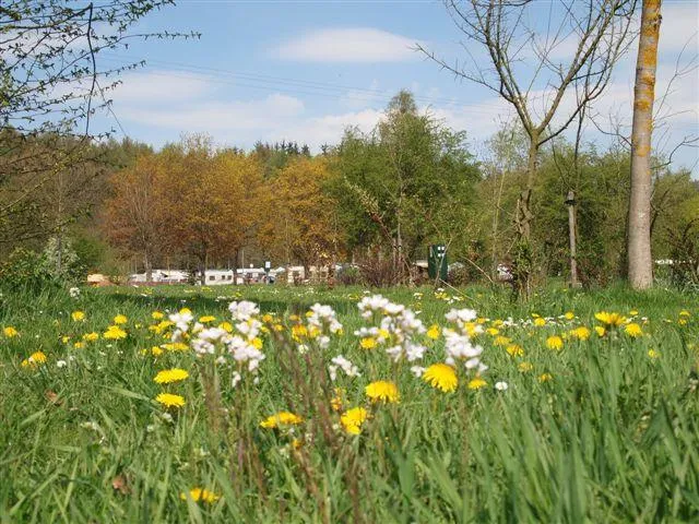 Domaine de l'Eau Rouge