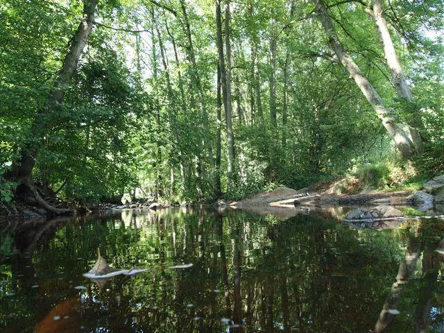 Domaine de l'Eau Rouge