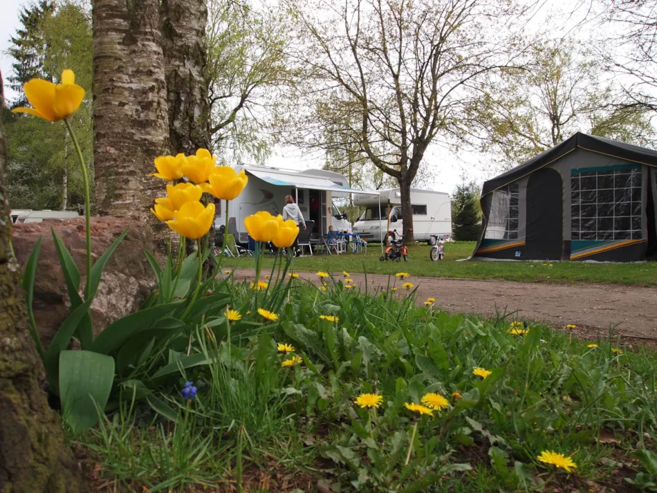 Domaine de l'Eau Rouge