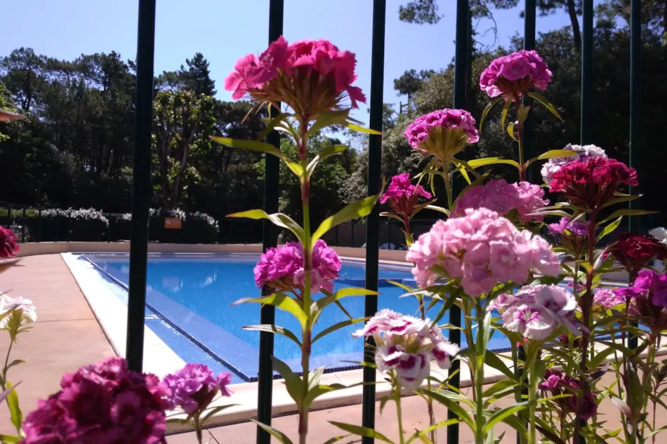 Capfun - Camping Le Bois d'Amour***