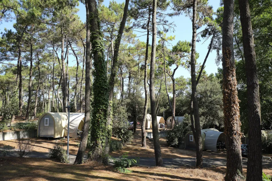 Capfun - Camping Le Bois d'Amour***