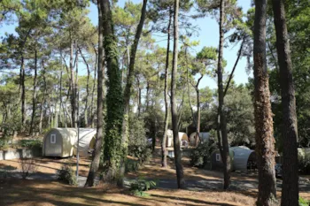 Capfun - Camping Le Bois d'Amour*** - image n°3 - Camping Direct