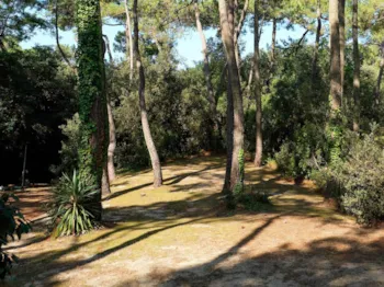 Stellplatz - Pauschale B : Stellplatz + Auto + Strom  10 Amp - Capfun - Camping Le Bois d'Amour***