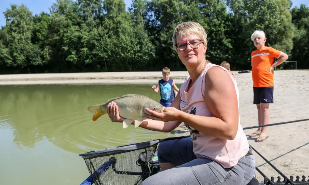 Camping Wedderbergen