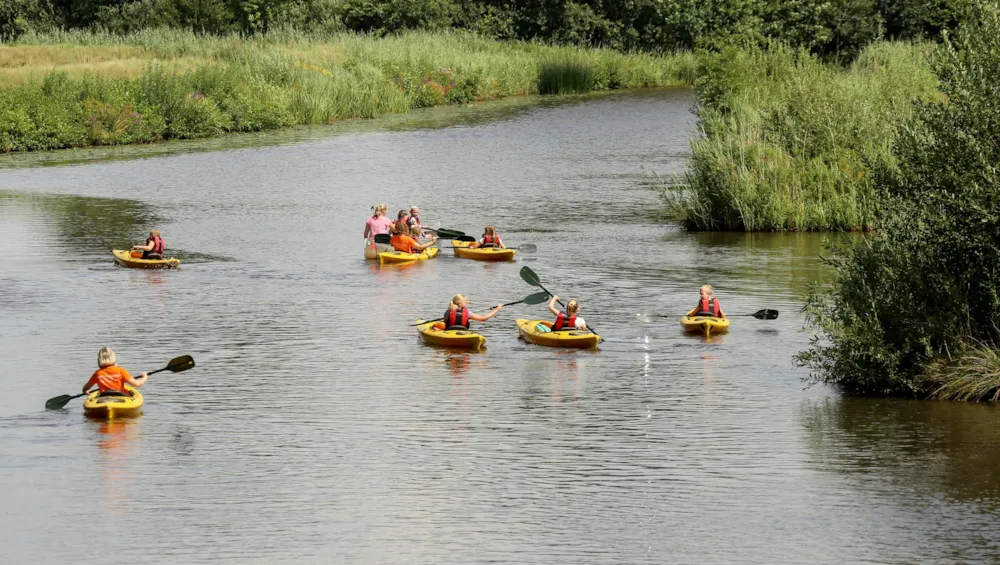 Camping Wedderbergen