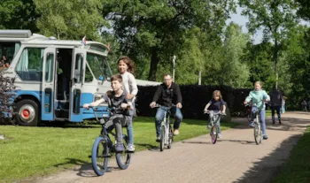 Stellplatz - Komfortplatz Royale - Camping Wedderbergen