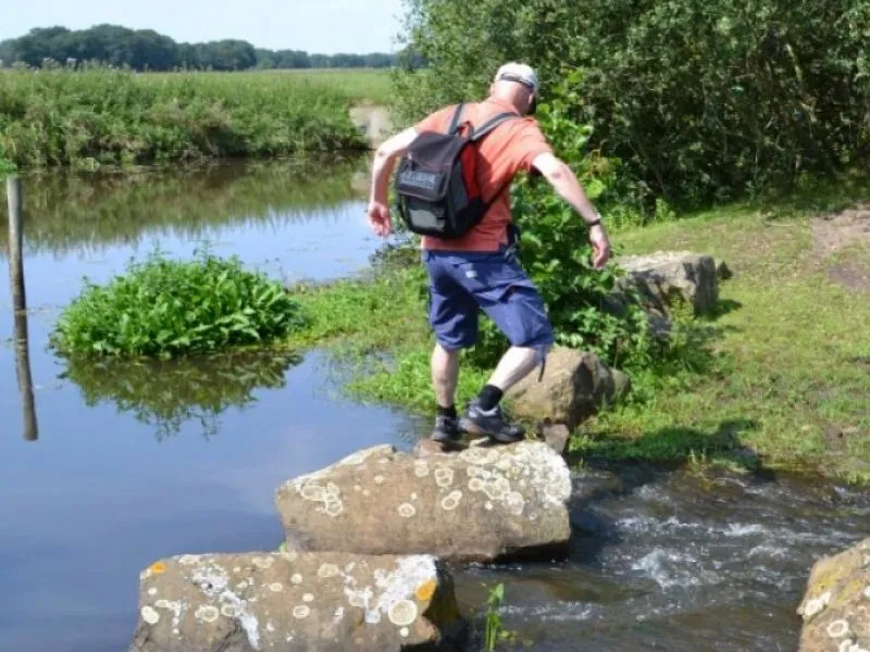 Camping Wedderbergen