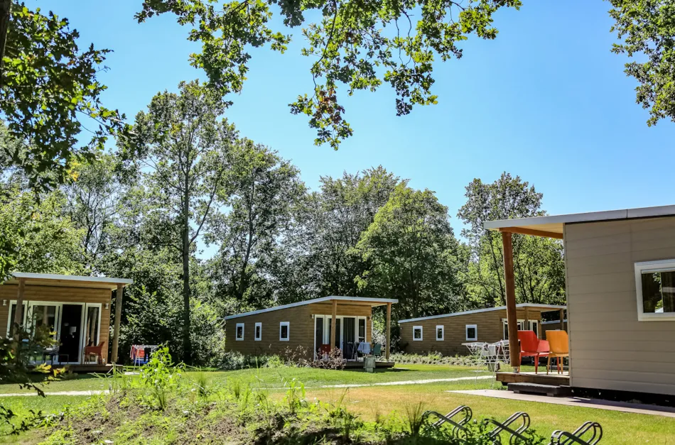 Camping Wedderbergen