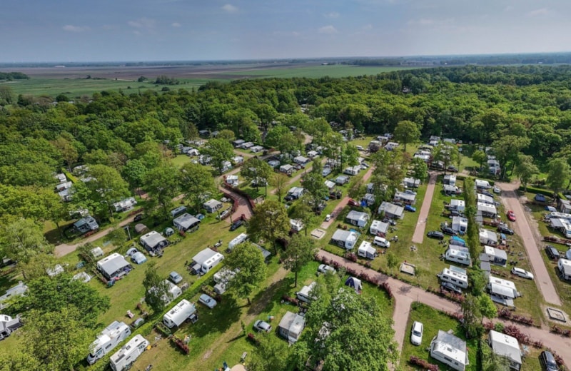 Comfort pitch (pet allowed)