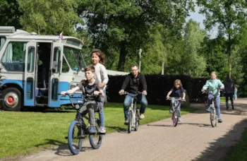 Stellplatz - Comfort Royaal - Camping Wedderbergen