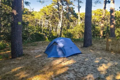 Emplacement Essential | Tente Et Véhicule +7 M | 100-120 M² | Électricité, Pas D'eau