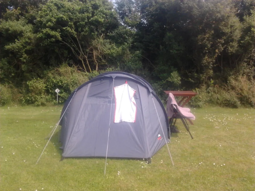 Tent until max. 8m² and max 1.50 high without electricity, no dogs allowed
