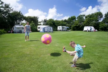 Kampeerplaats(en) - Standaardplaats - Ruime Plaatsen - Mini-Camping en Kloostertuin Werendijke