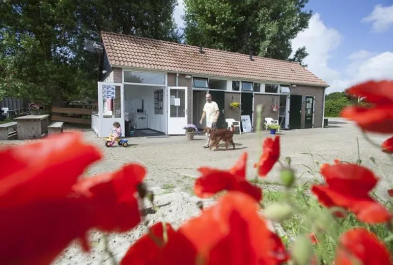 Emplacement Tente Max 8M² Et Max 1.50M De Hauteur, Sans Électricité
