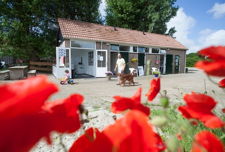 Minicamping & Kloostertuin Werendijke photo 4