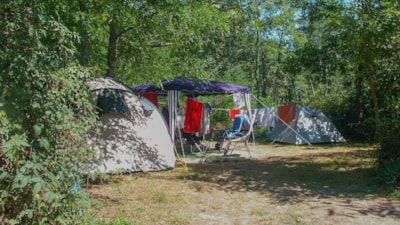 Pitch Tradition Premium, 200m²