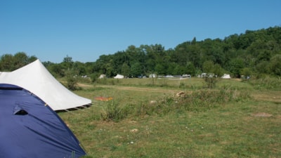 Pitch Sauvage