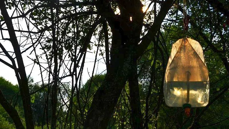 Forfait Sauvage Premium, 250M² Avec Vue Sur La Rivière