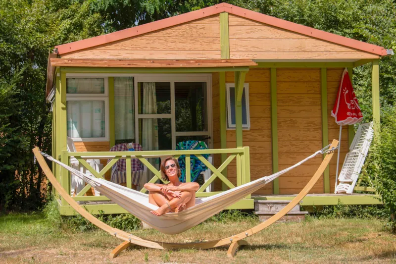 Cottage Calendula Premium