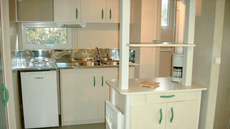 Cottage Calendula Premium