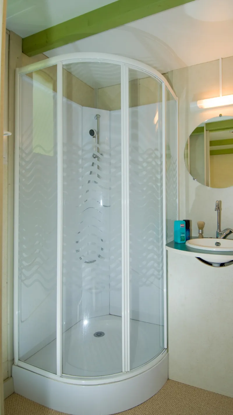 Cottage Calendula Premium