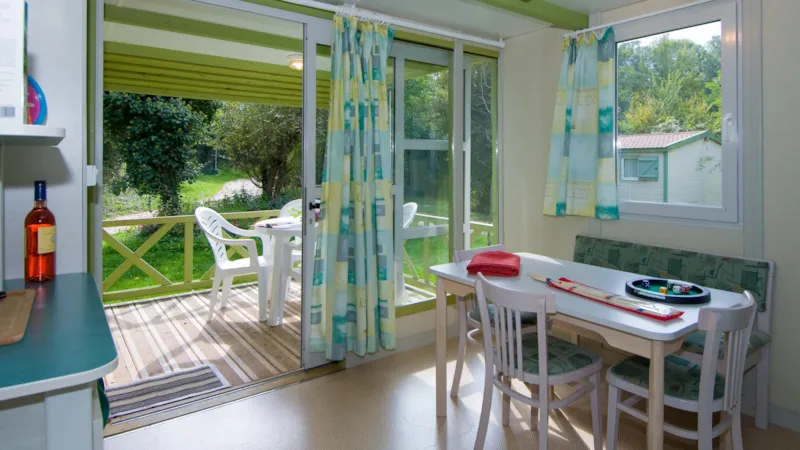 Cottage Calendula Premium