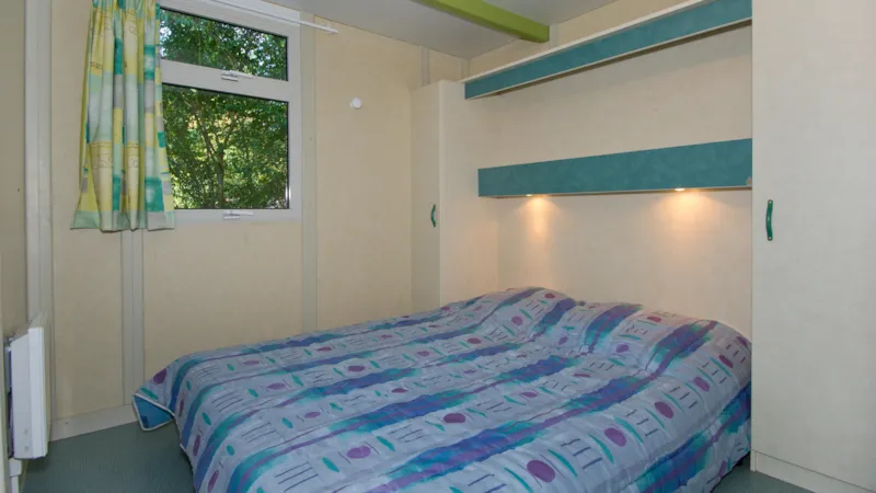 Cottage Calendula Premium