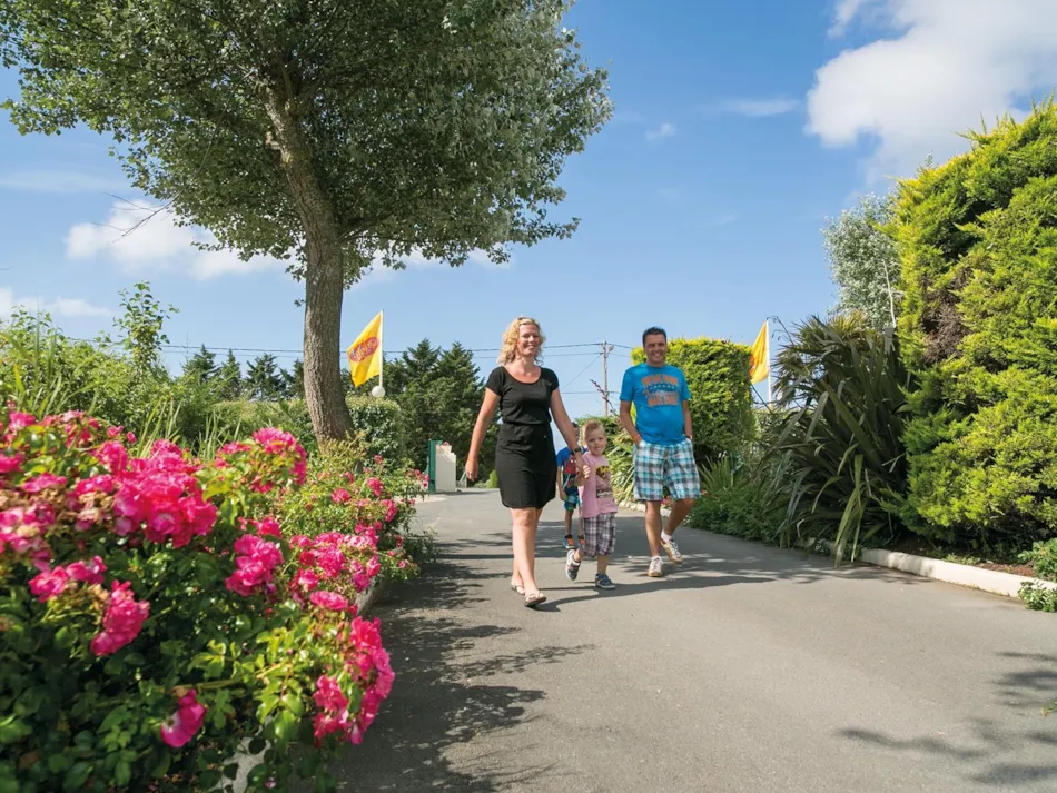 Capfun - Les Vikings