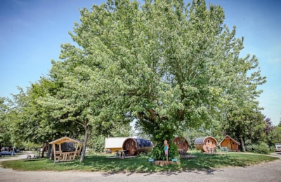 Wooden Family Caravan Grumpy