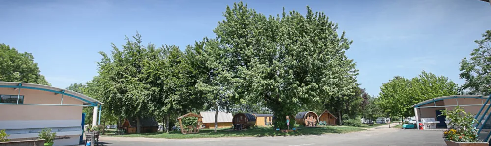 Emplacement - Emplacement Randonneur À Pied Ou À Vélo Avec Tente - Camping de Tournus