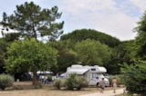 Foto #6 van Flower Camping Le Bel Air