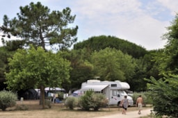 Flower Camping Le Bel Air - image n°7 - Roulottes