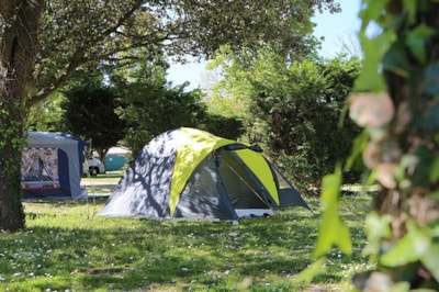 Flower Camping Le Bel Air