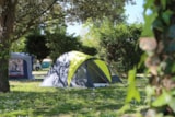 Foto #7 van Flower Camping Le Bel Air