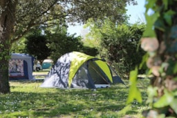 Flower Camping Le Bel Air - image n°8 - Roulottes